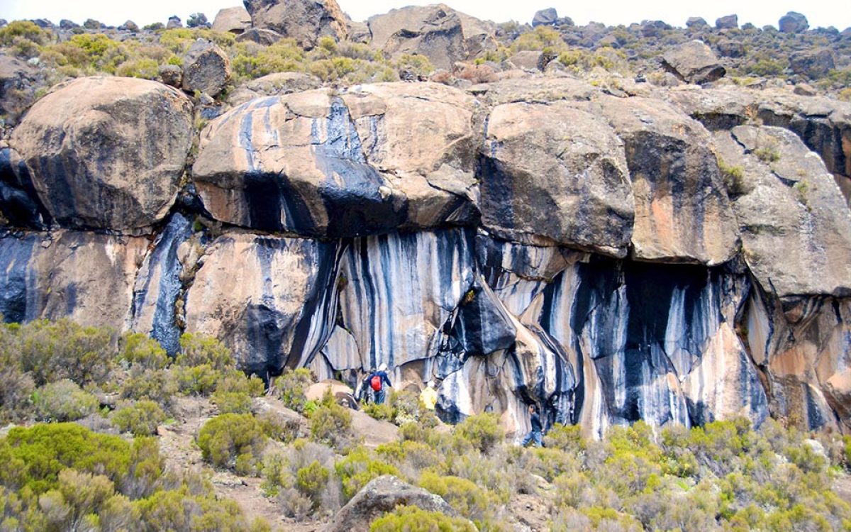 26545462 - mountain of tanzania